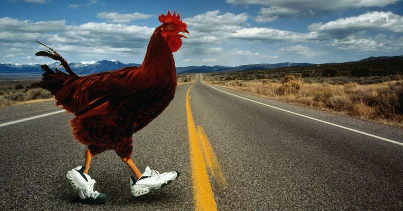Chicken road 2 casino - Découvrez la Fierté de Chicken Road 2 : L'Expérience de Casino En Ligne